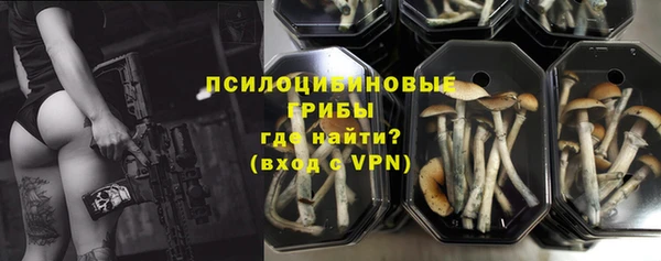 гидропоника Бородино