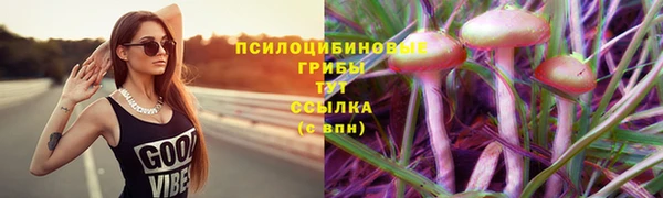 круглые Бронницы