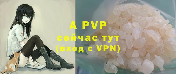 Альфа ПВП Верея