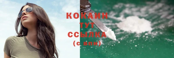 гидропоника Бородино