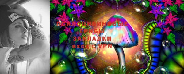 дмт Бугульма